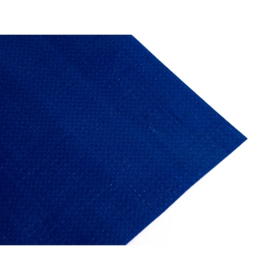 Presenning 240g/m² 10x12m Blå