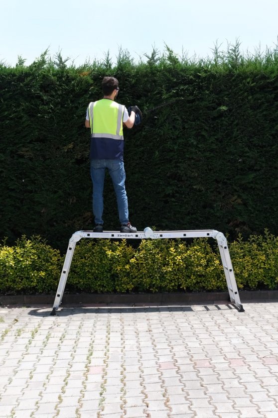 Man som står på en kombinationsstege och klipper en häck