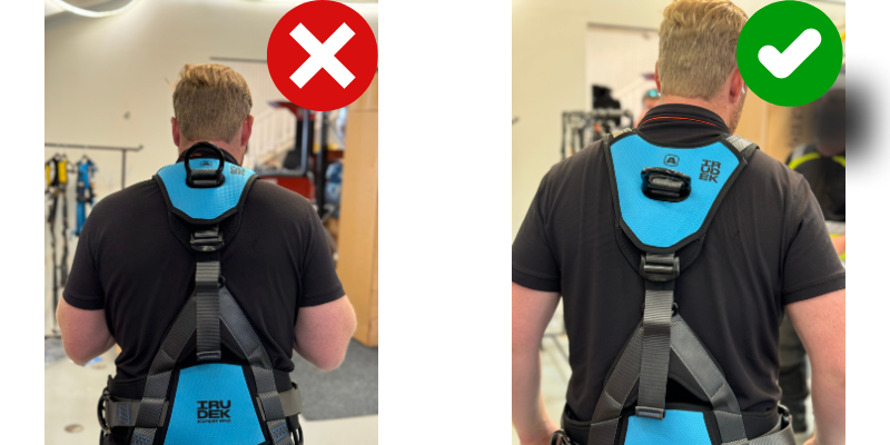 Hur d-ringen, ryggförankringen ska sitta på en fallskyddssele